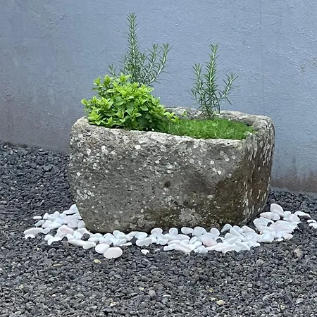 Casa Do Castelo Сasa de vacaciones *